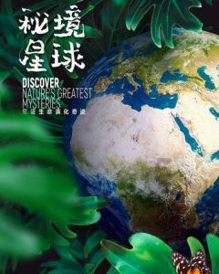 摇滚乐团的装扮