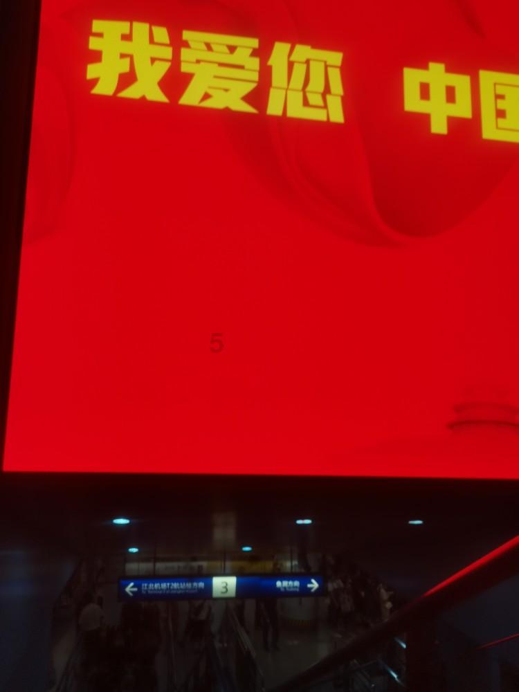 园丁逃生