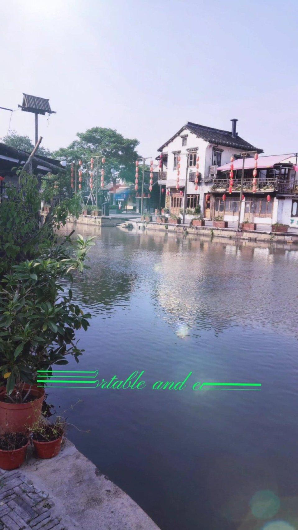 救援贪玩的大象